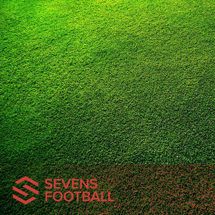 Steelpointe Sevens Football